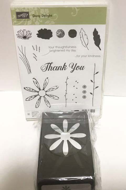 111【新品未使用】スタンピンアップ スタンプ パンチ セット