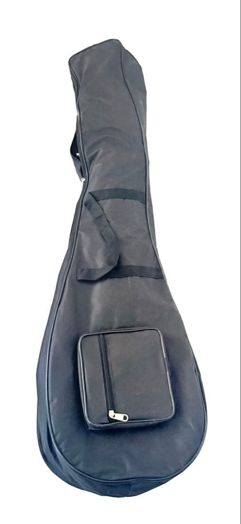 【希少】サロード サロッド SAROD 民族楽器 シタール タンプーラ