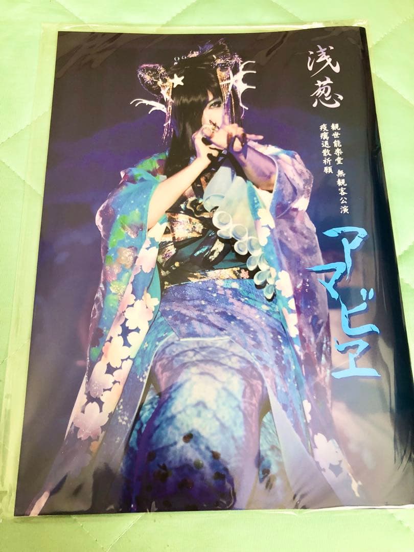 浅葱ソロ　写真集 パンフレット メイキングブック　D ASAGI チェキ