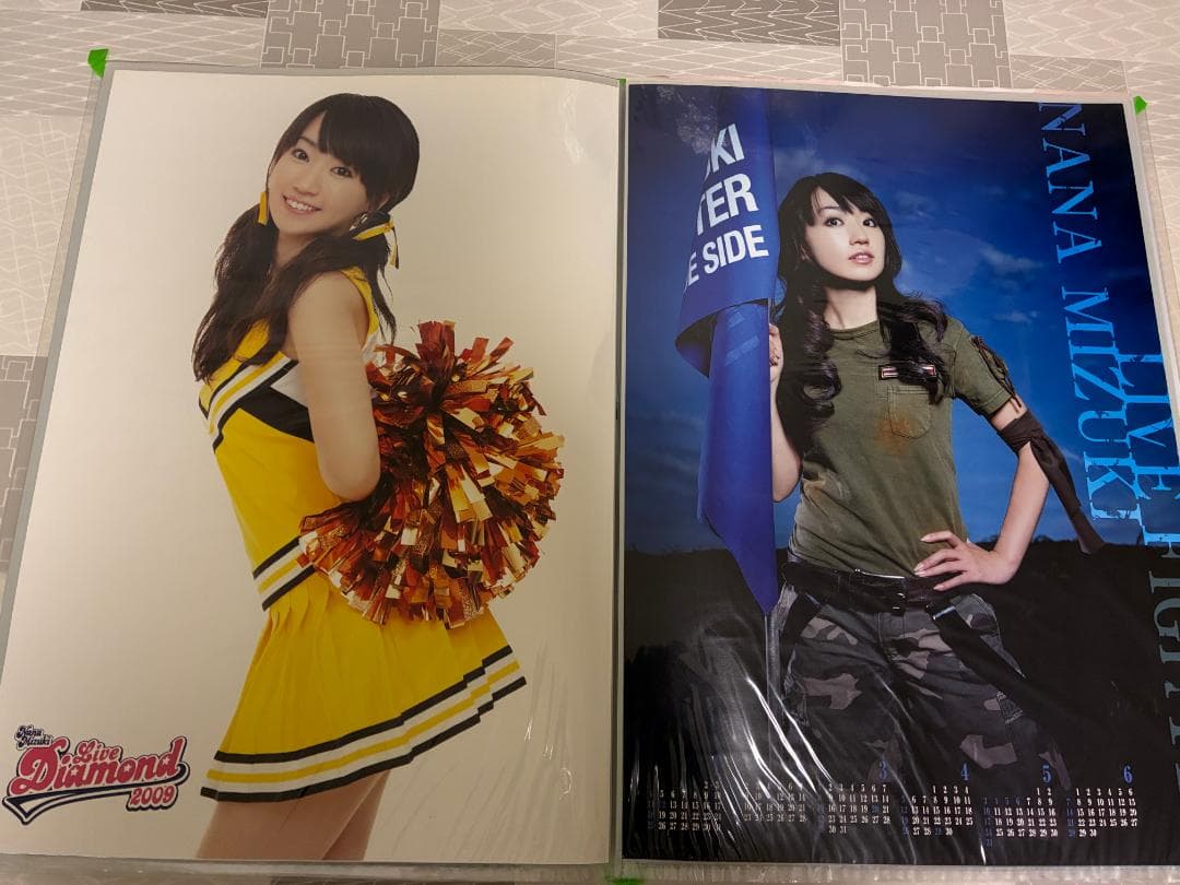 B2ポスターギャラリー（封入シート10枚）+水樹奈々ポスター多数