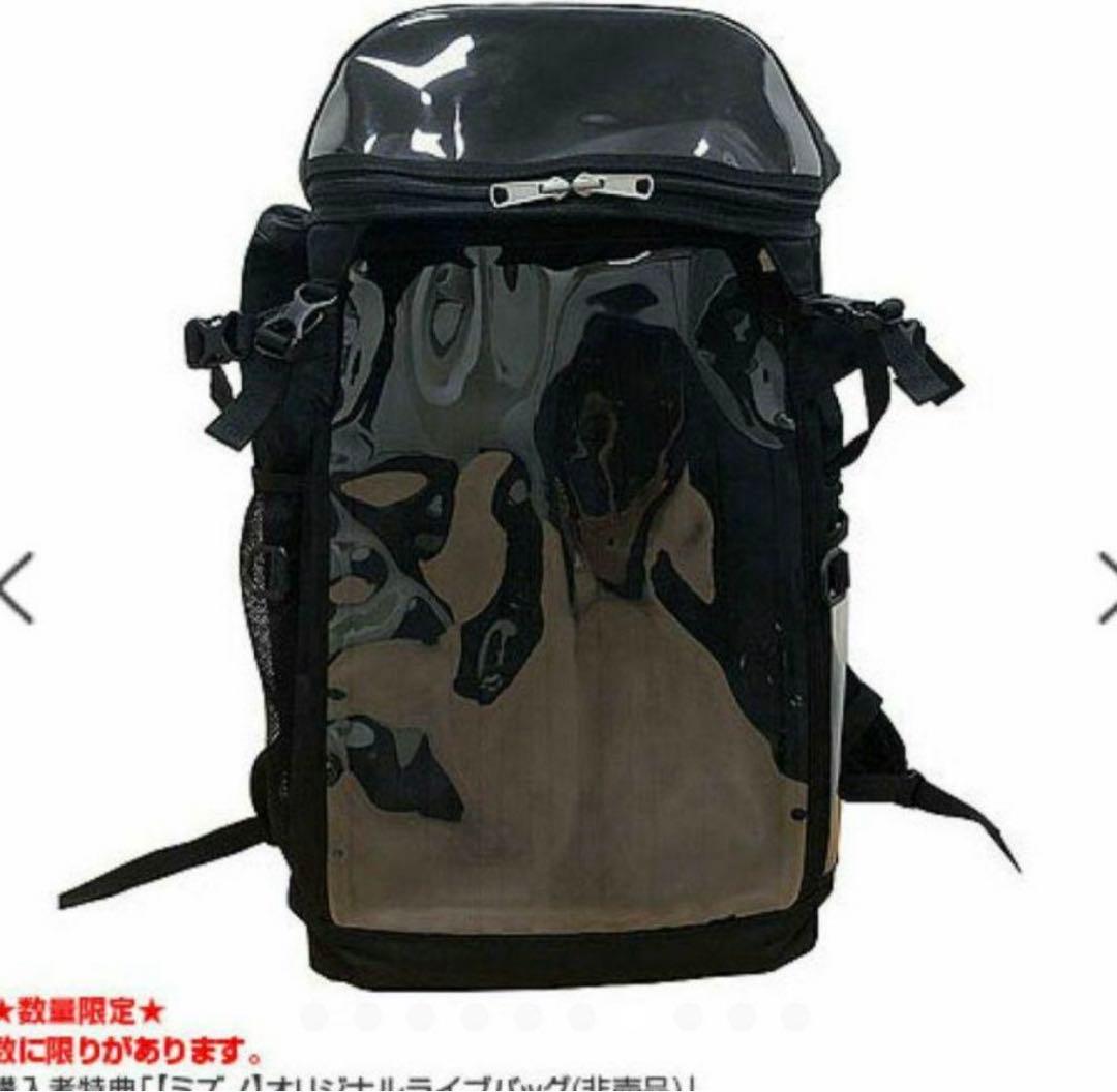 阪神タイガース バックパック 透明ポケット付き