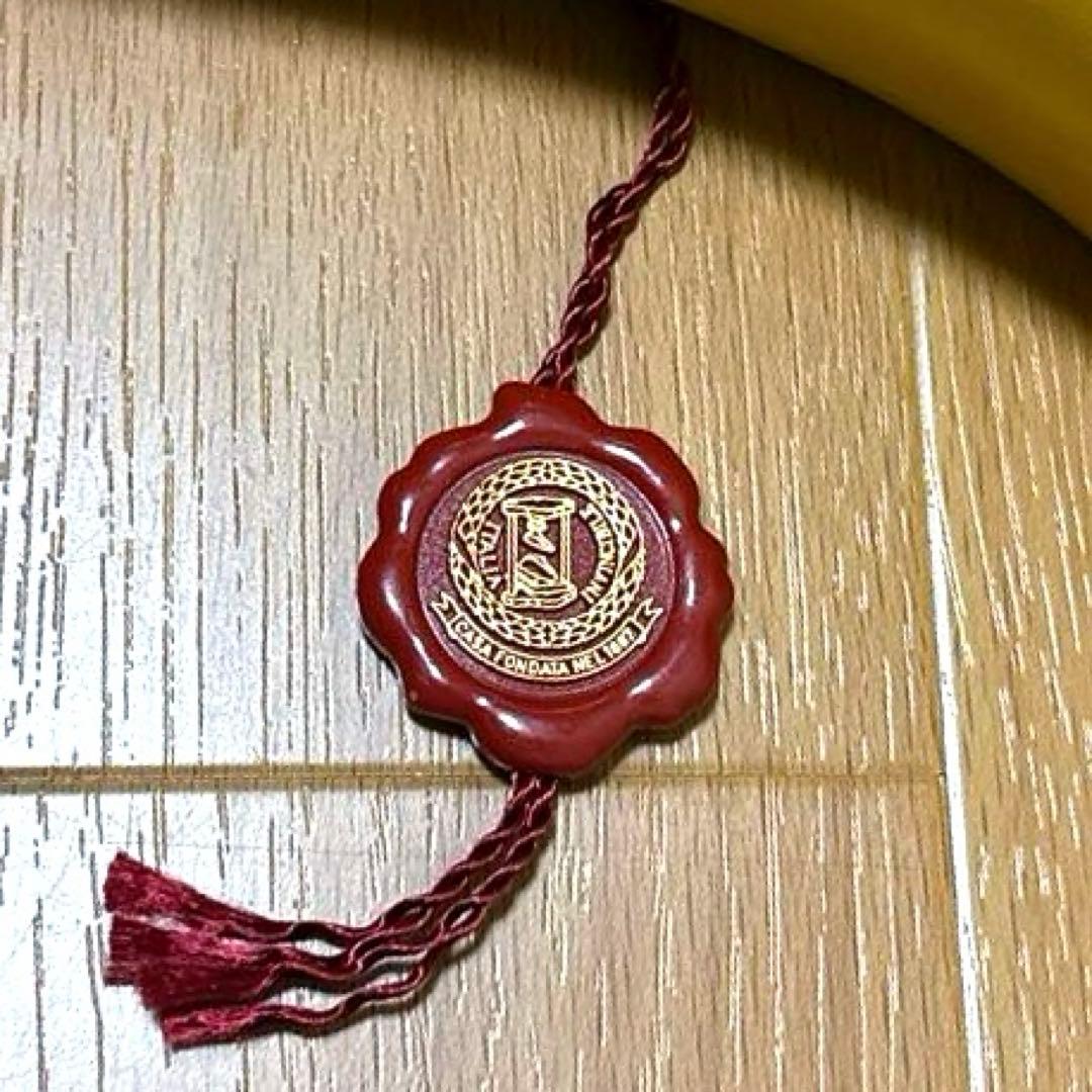 希少!!Selle ITALIA turbo Special レディース サドル