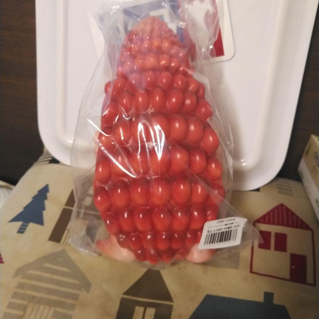 仮面の忍者赤影　グロン　魔風忍者／鎧虫怪獣