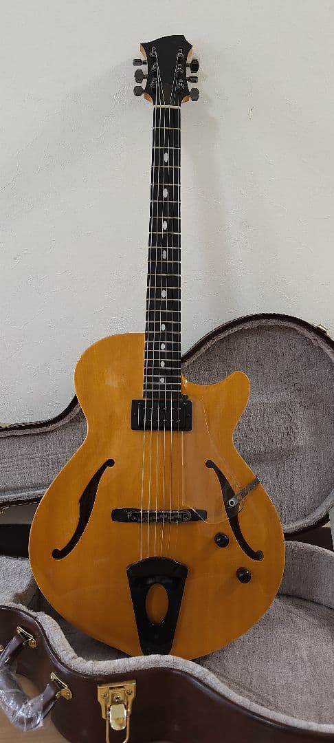 【美品】westville solar ハードケース付