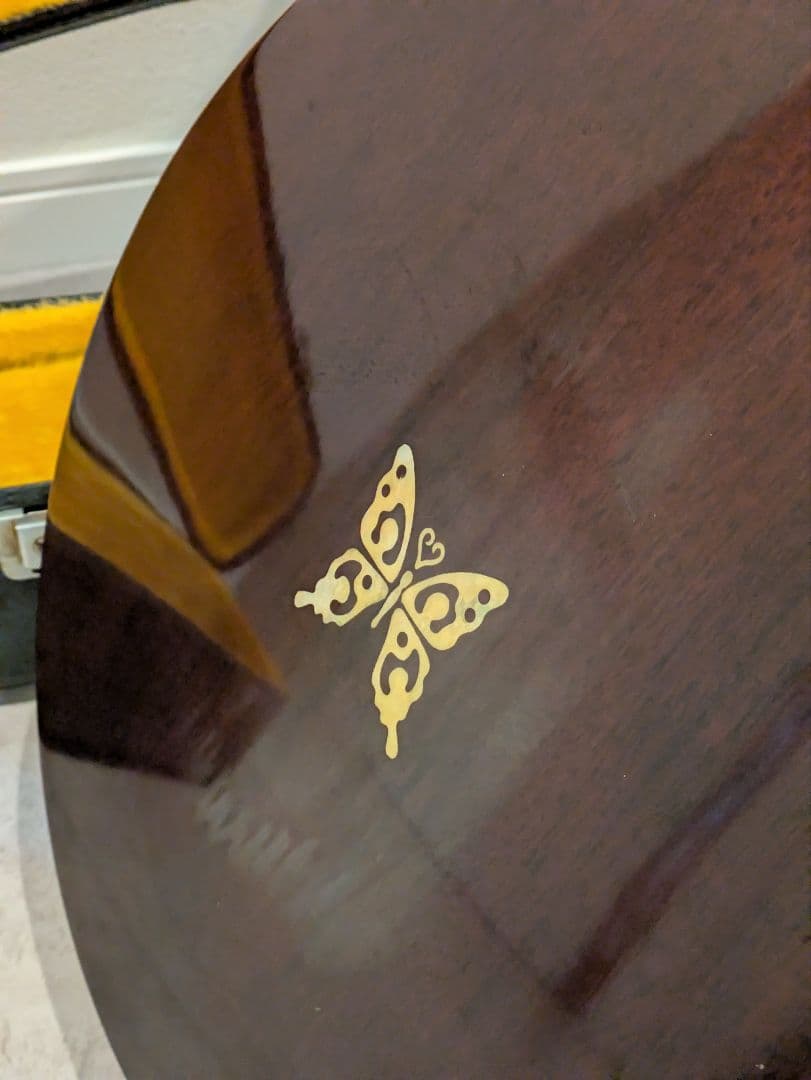 Tenesy 5弦バンジョー ケース付き