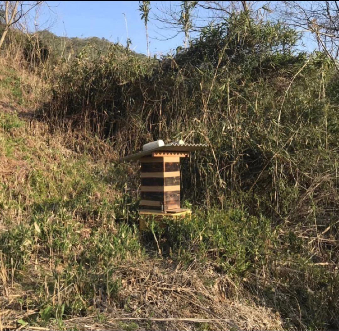 fu&hi 日本ミツバチの非加熱とろとろ生はちみつ×3クリーム50ml×1