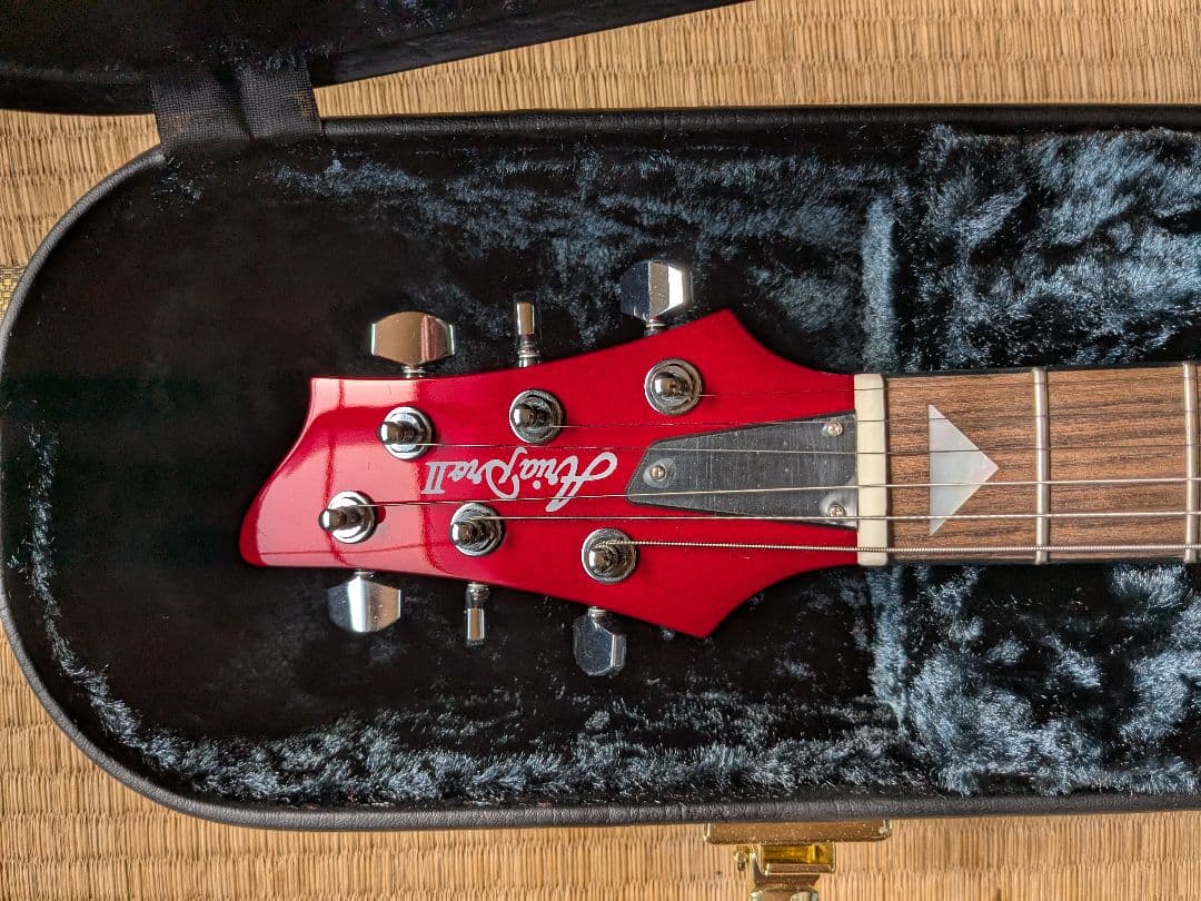 アリアプロⅡ AriaproⅡ PE-JAIL Roll 　ジェイル大橋