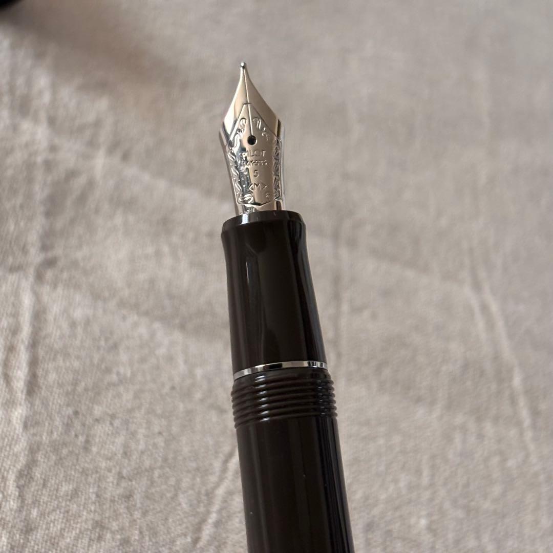 PILOTパイロットカスタム　ヘリテイジ91 万年筆 山栗