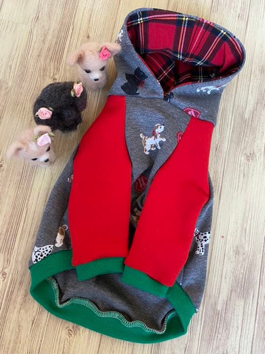 犬服  ラグランフード付き(M)   ꒡̈⃝Lily꒡̈⃝犬服 ハンドメイド