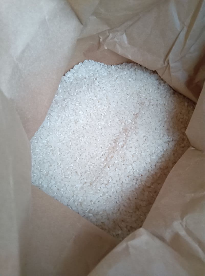 米とちぎの星　業務用20キロ