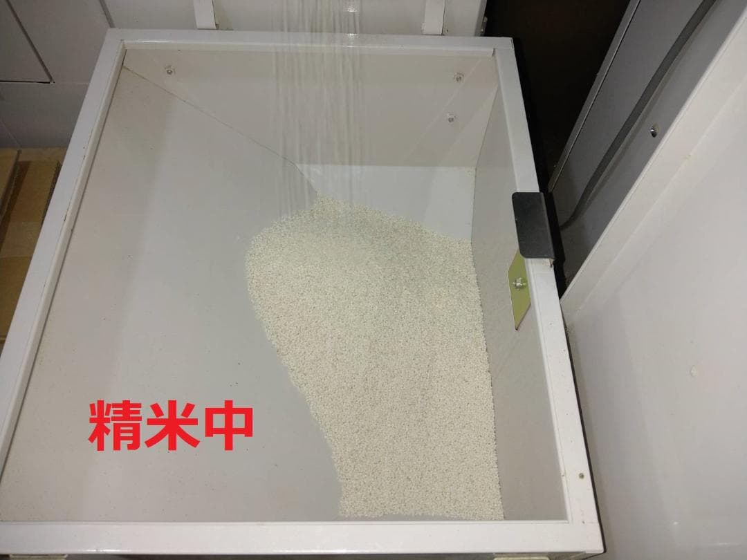 令和7年千葉県産農家直送マンゲツモチ玄米3０㎏関東甲信越の方へ沖縄県離島の方除く