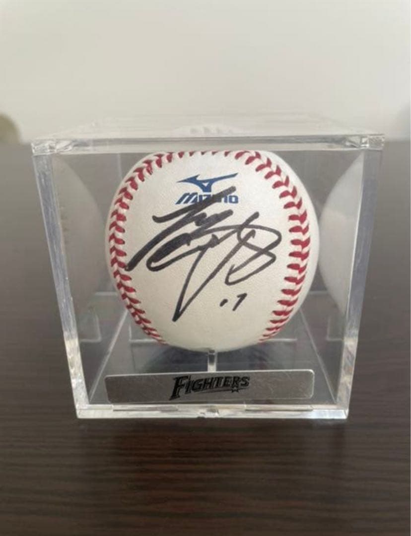 【超レア❗️】大谷翔平選手　直筆サインボール（NPB 12球団統一試合球）