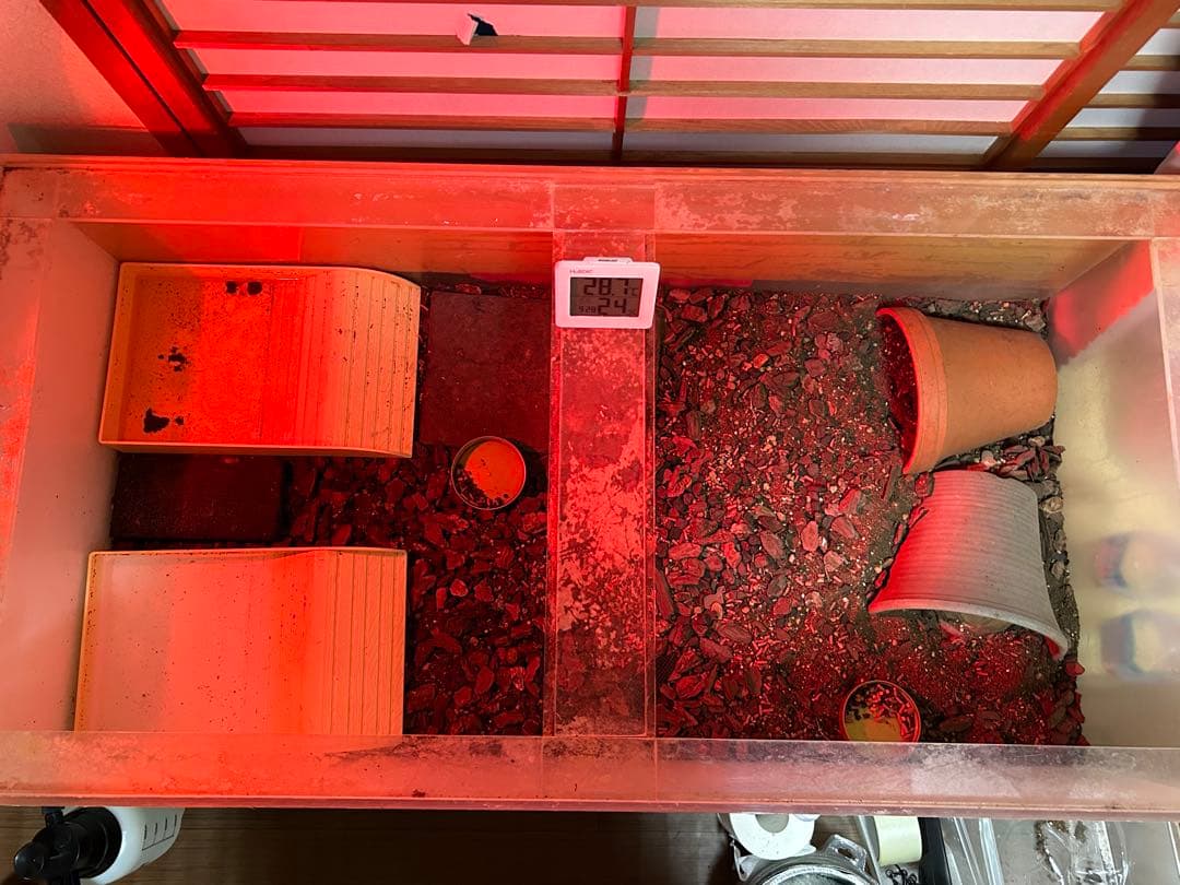 爬虫類ケージ、アクリル水槽