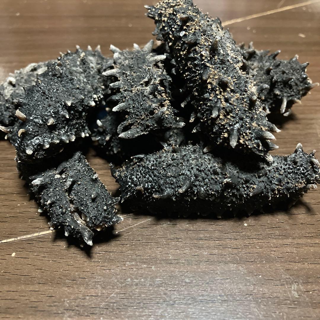 #黒い海鼠（加工食品）北海道産黒ナマコ