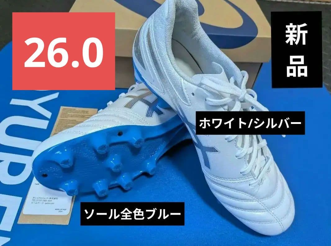 アシックス DS LIGHT PRO 新品9月某大手スポーツ店購入