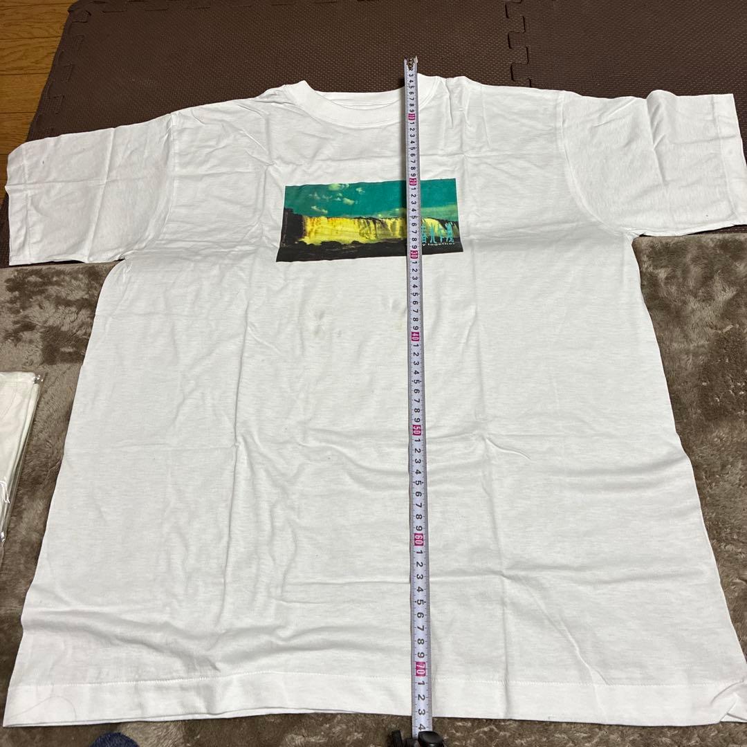 専用専用1997年の香港映画『ブエノスアイレス』（原題.春光乍洩Happy