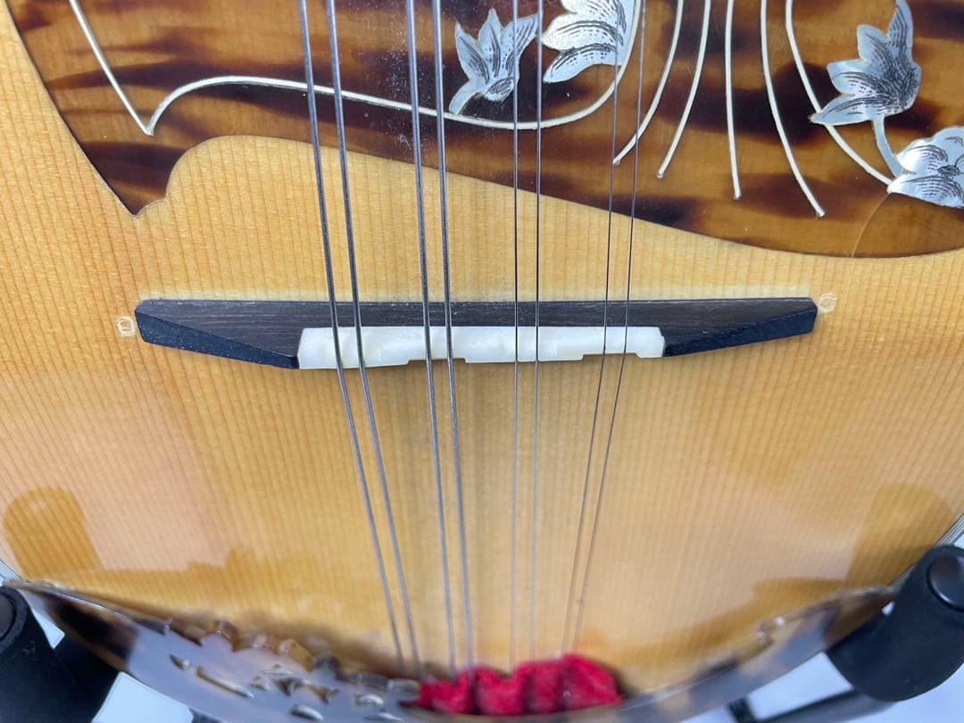 ラファエル・カラーチェ TYPE.15 ラウンドマンドリン