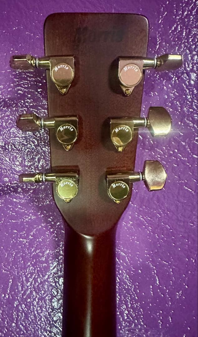 Morris アコースティックギター MD 520