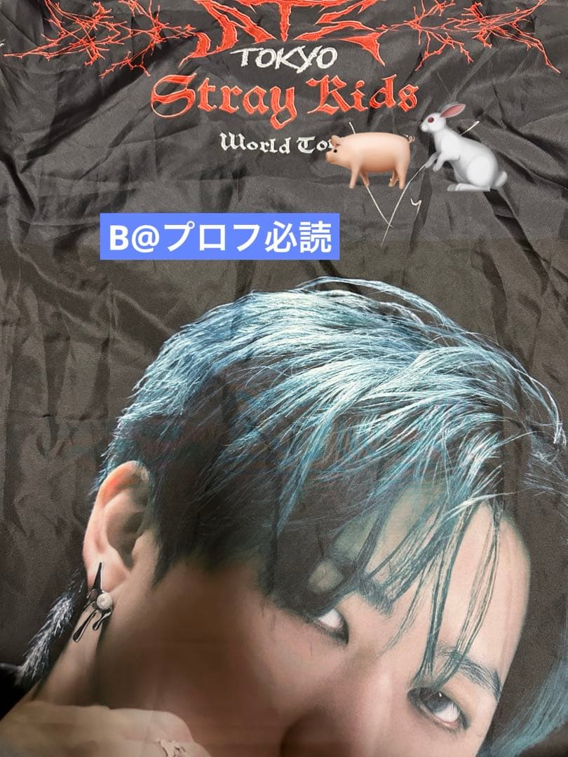 Stray Kids GIANT C賞 フラッグ 直筆サイン入 チャンビン