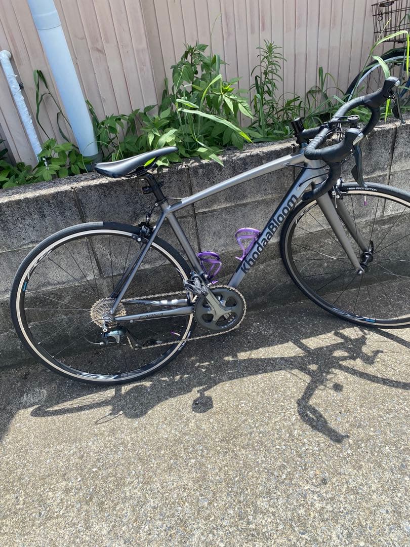 ほ*よ様 今だけ大特価Khodaabloom Farna