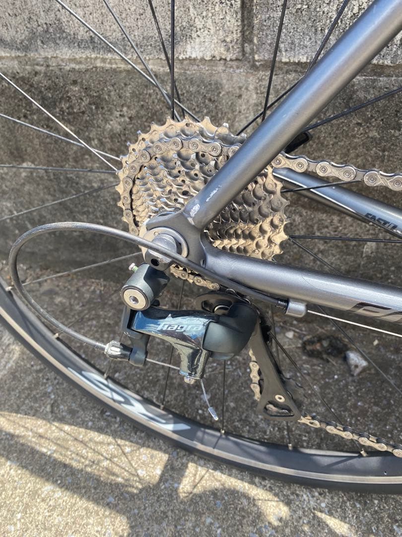 ほ*よ様 今だけ大特価Khodaabloom Farna