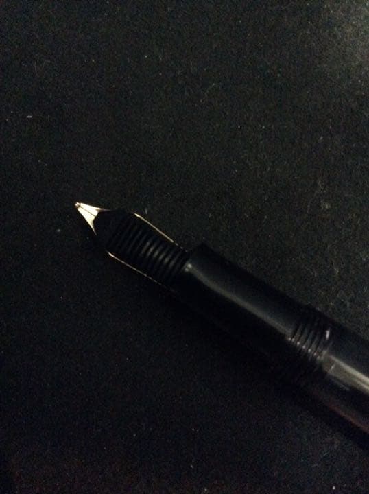 ペリカン万年筆ギュンターワーグナー(インク、ケース付)