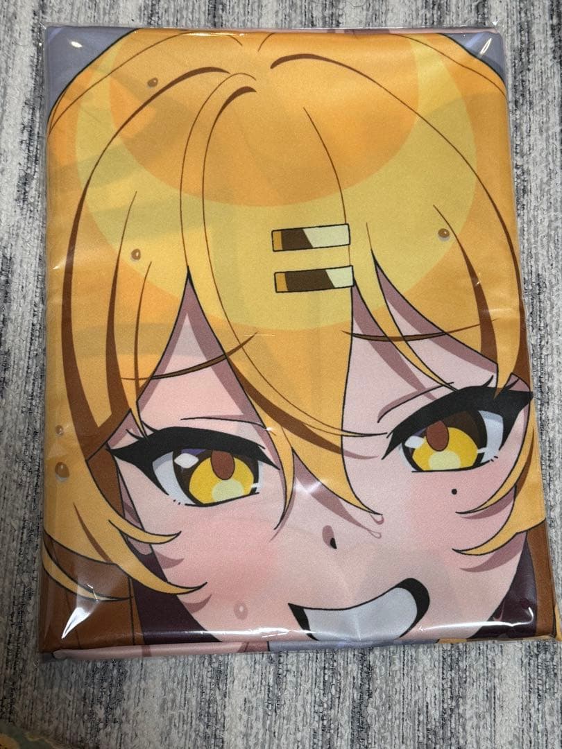 ぬきたし　くじ引き堂　S-1-1 選べる！特大布ポスター 片桐奈々瀬