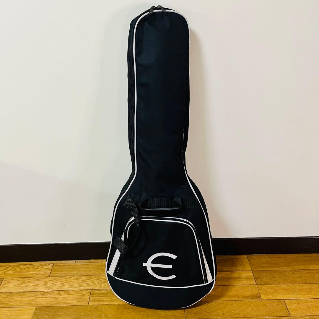 【希少品】　Epiphone エピフォンES-335 PRO 送料込み
