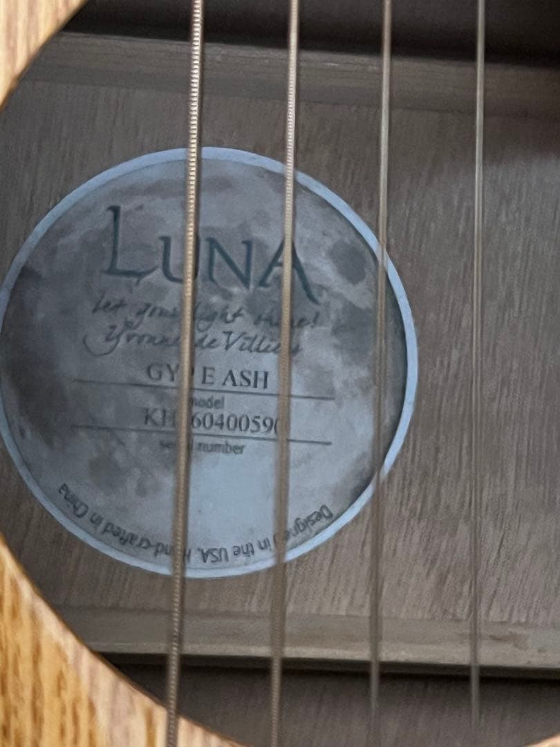 即発送 Luna guitar GYP E ASH DEANのハードケース付き
