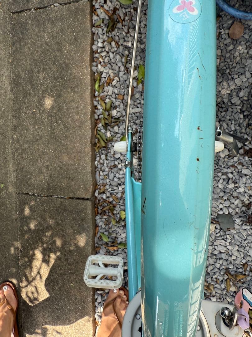 【直接引渡しのみ】ブリヂストン　エコパル22インチ　 水色 キッズバイク