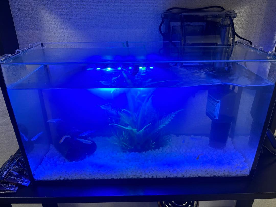 水槽と付属品セット　淡水魚用