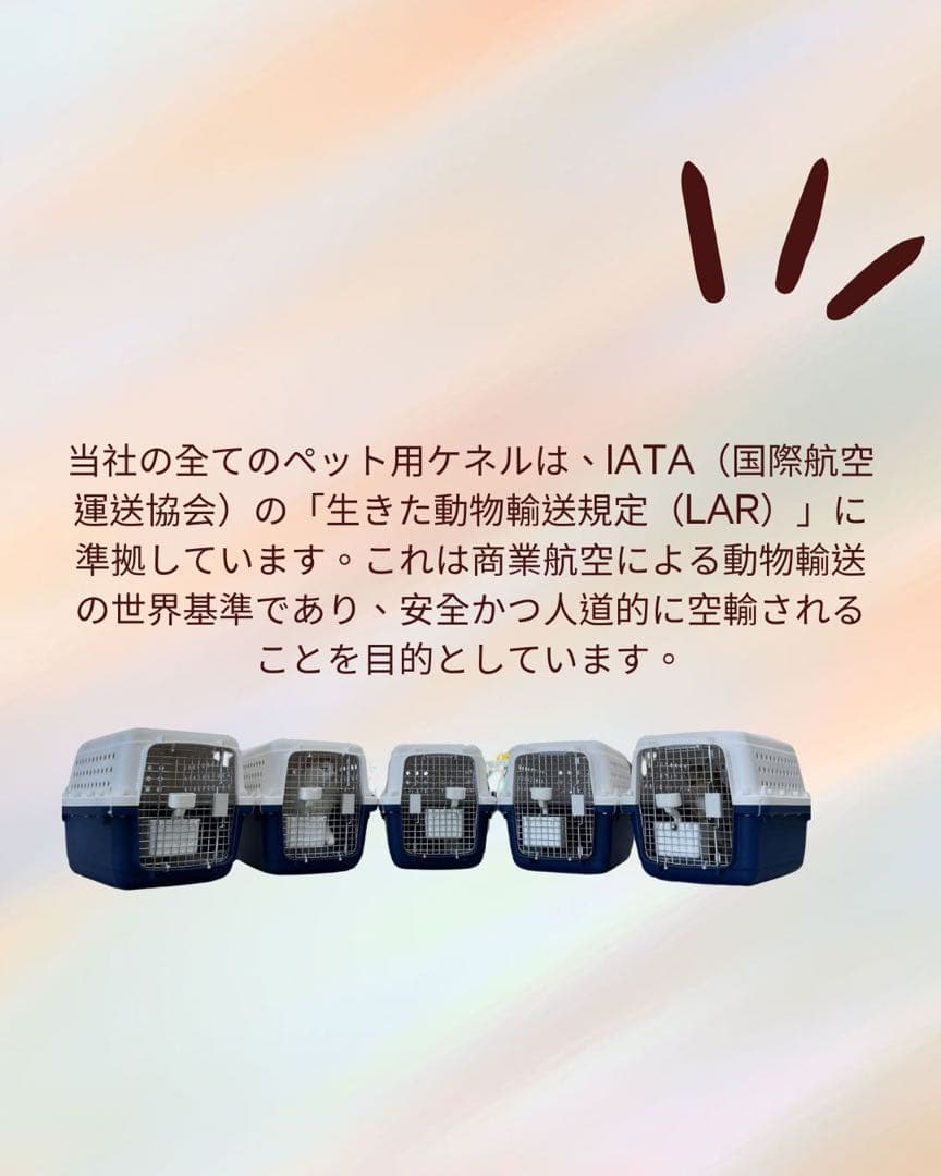 猫犬　ケージ クレート　ペットパレス BB85 移住　お出かけ 輸送