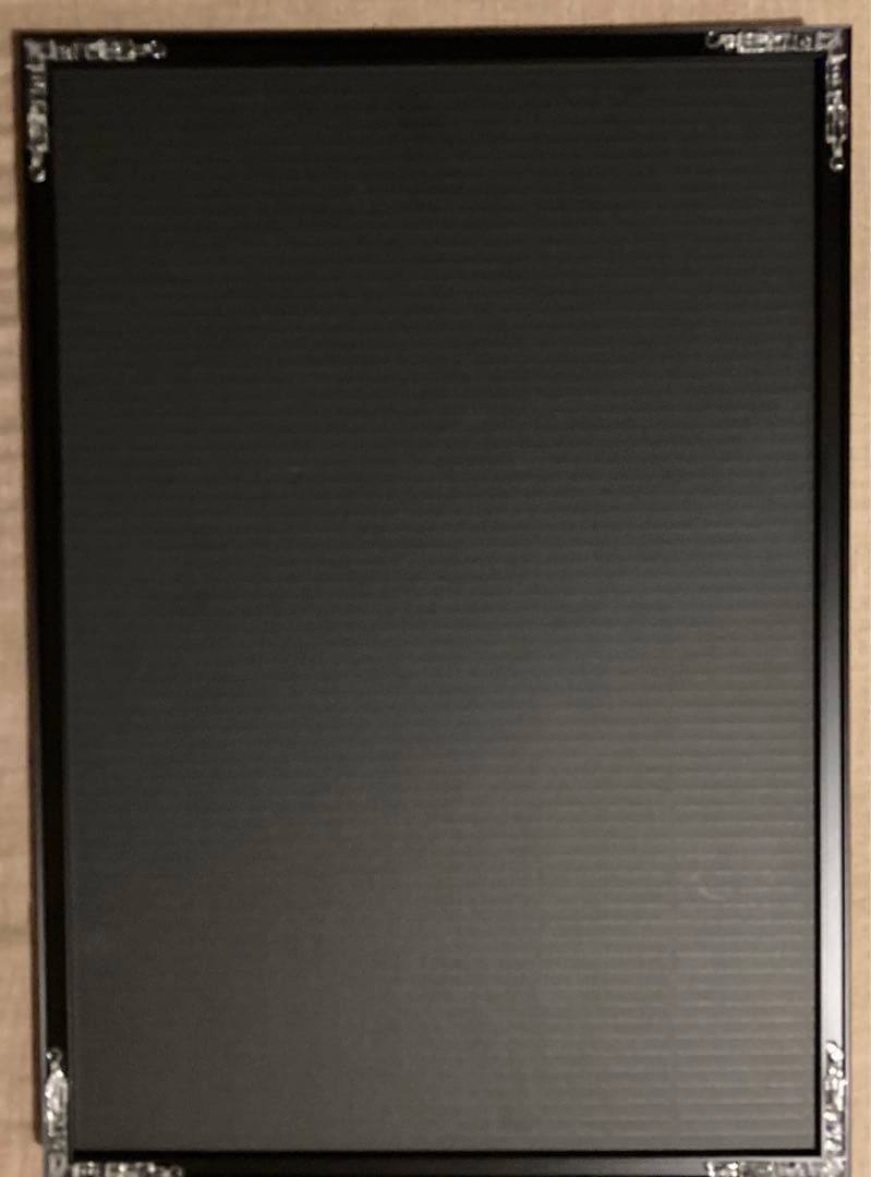 森山大道　A3ポスター 黒猫