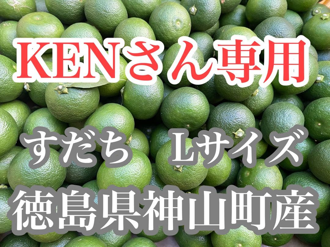 徳島県神山町産　《冷蔵貯蔵すだち》 綺麗なLサイズ　5キロ　　③
