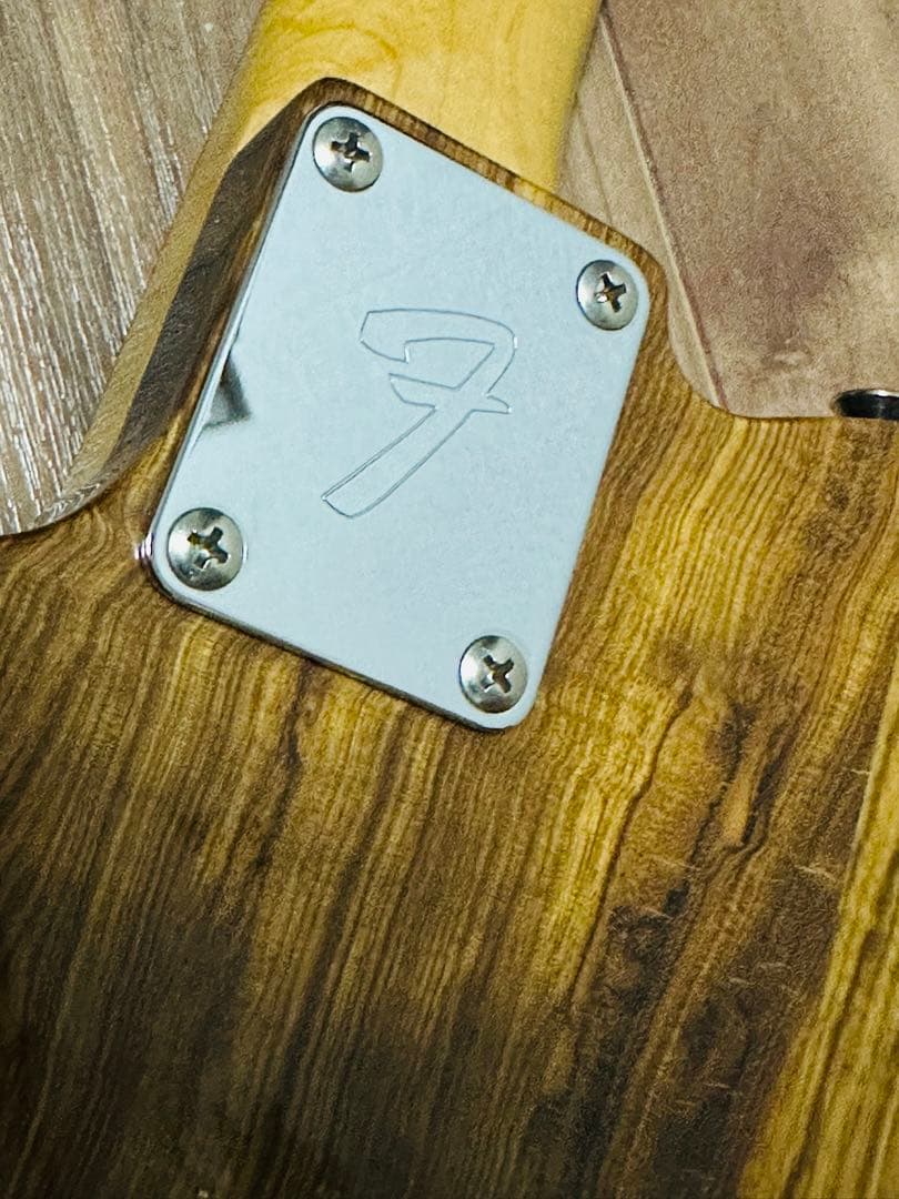 【レア】Fender Japan TL-ZEBRA【テレキャスター】