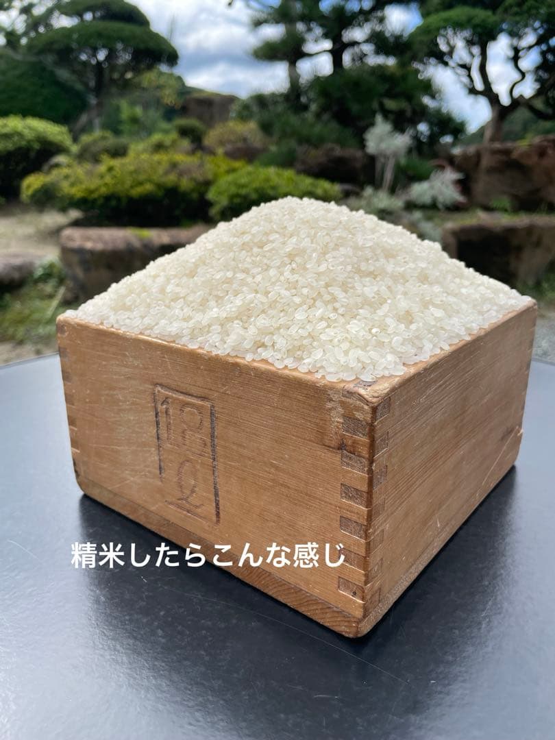 玄米　20kg 農家直送　コシヒカリ　 広島県産