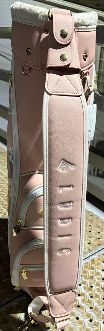 REGOLITH キャディバッグ