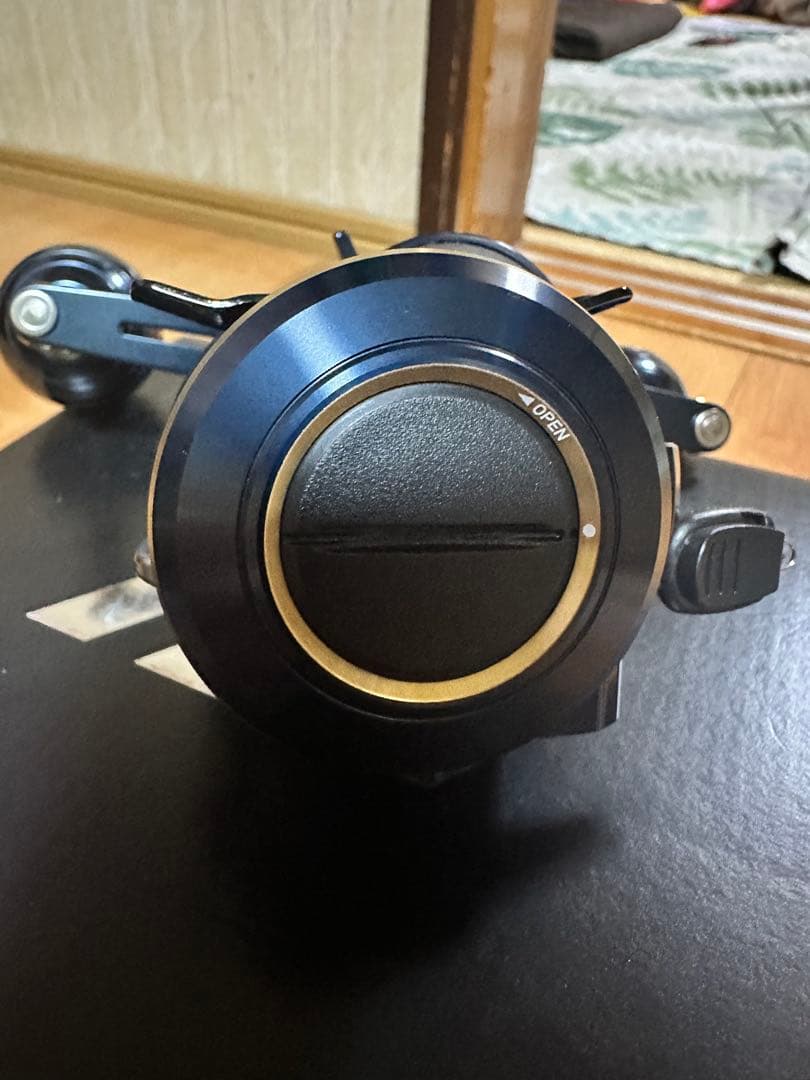 か*ず様 Daiwa ソルティガ　 IC100 H-DHベイトリール美品