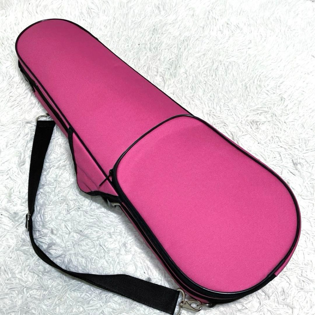 極美品✨　Carlo Giordano バイオリン　VS-1 1/4 2019年