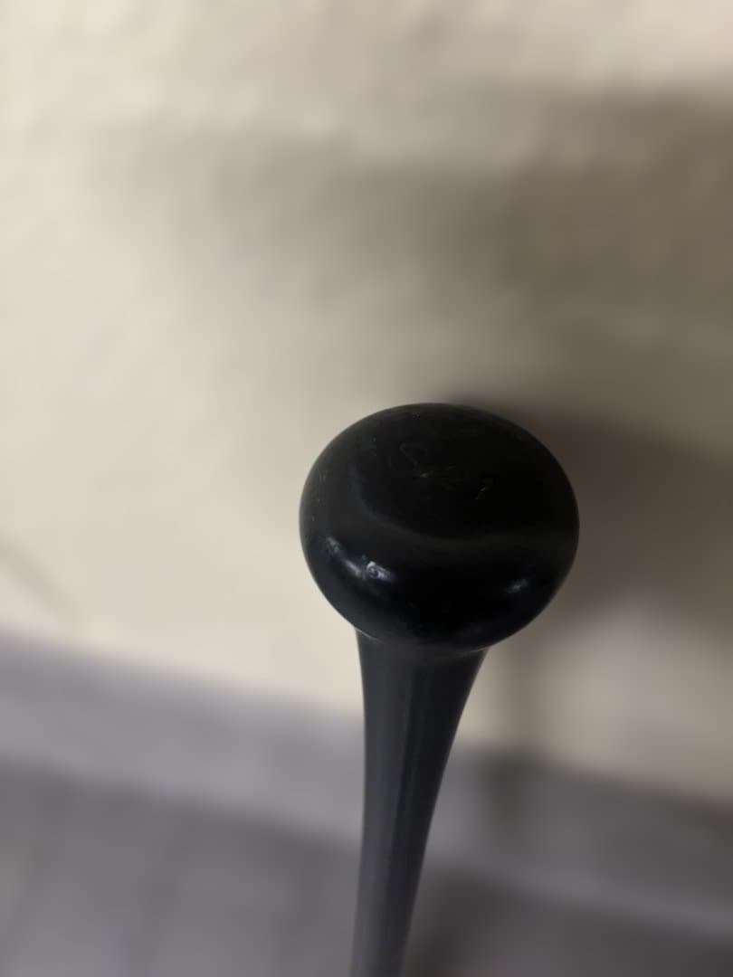 MizunoPro NPBバット