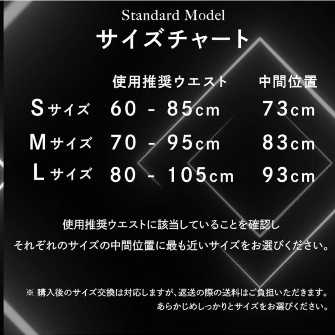 AZLIV レバーベルト LEX Standard 厚さ10mm
