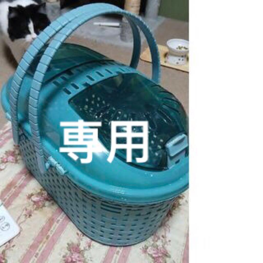 （専用）青いプラスチックキャリー