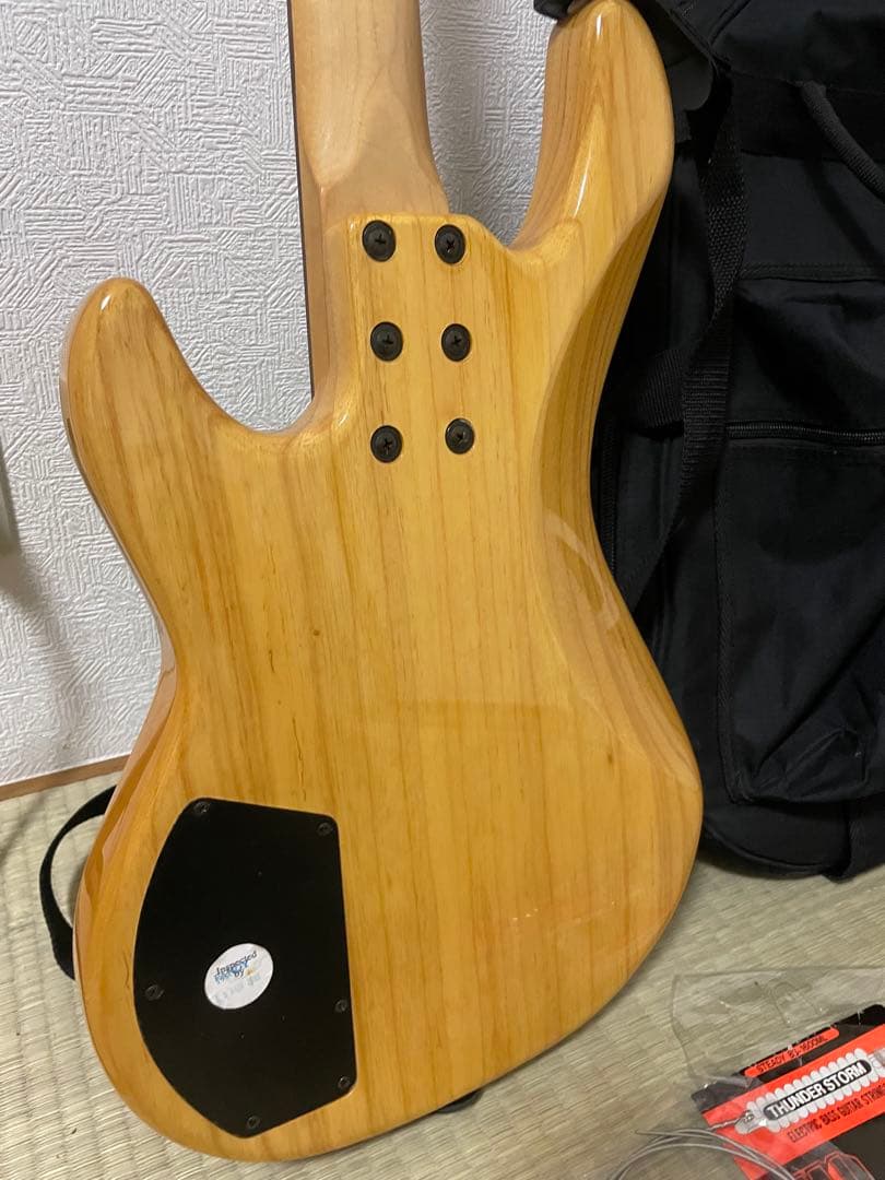 G&L L-2000 トリヴュート Mod