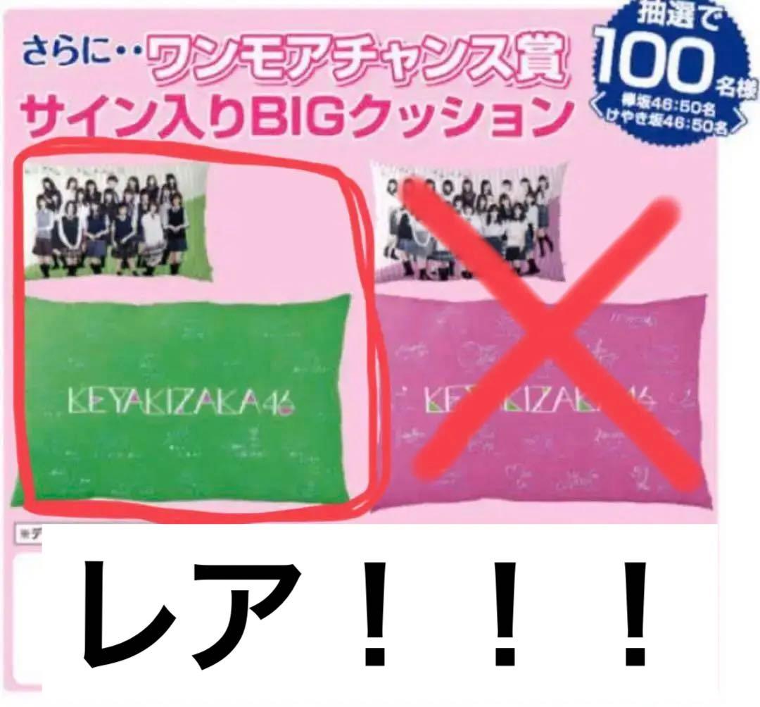 【新品未使用】欅坂46 くじ ワンモアチャンス賞 サイン入り クッション