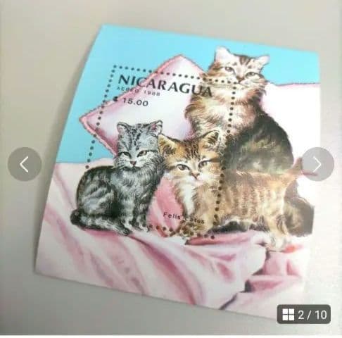 2312 專用 (その2) 确認用 10点+バラ売り9点