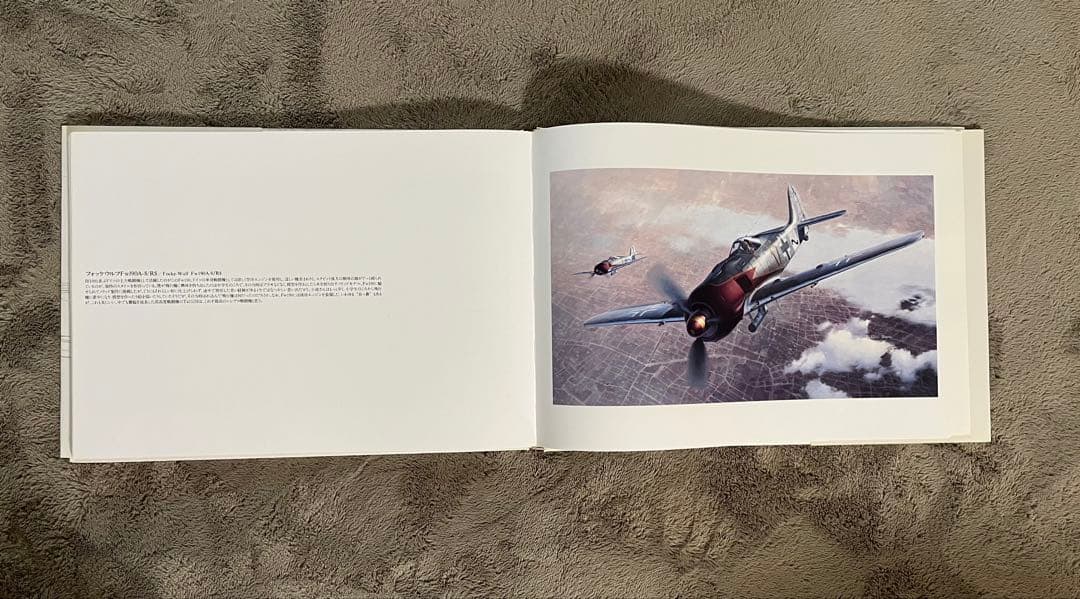 小池繁夫 FLYOVER フライオーバー 航空イラスト作品集 中古美品 ソニー