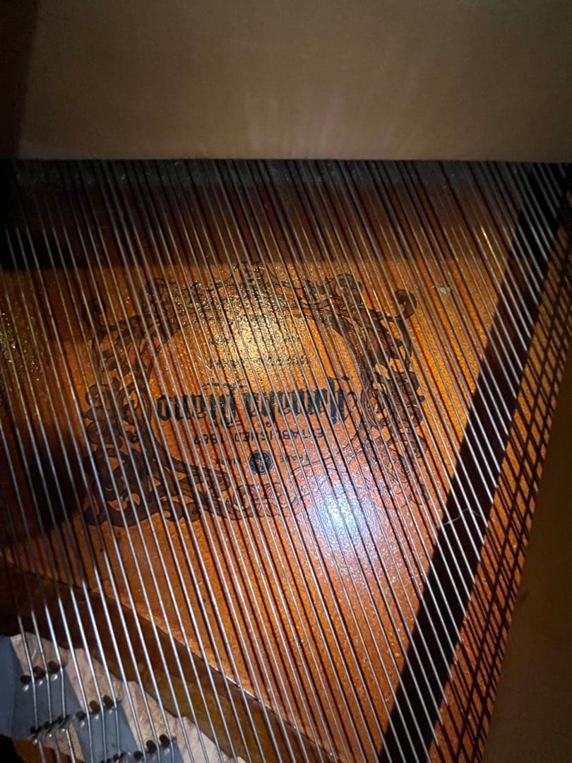 YAMAHA グランドピアノG2 968309 2025年6月調律済み