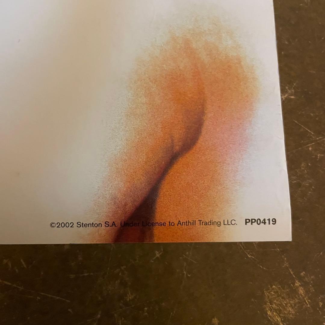 00s デッドストック DAVID BOWIE 大判ポスター