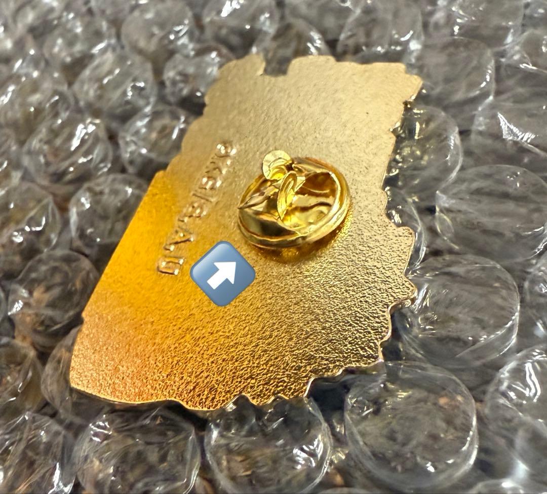 に*め様 ★匿名配送★【鬼滅の刃】不死川実弥を応援していますピンバッジ※難あり※