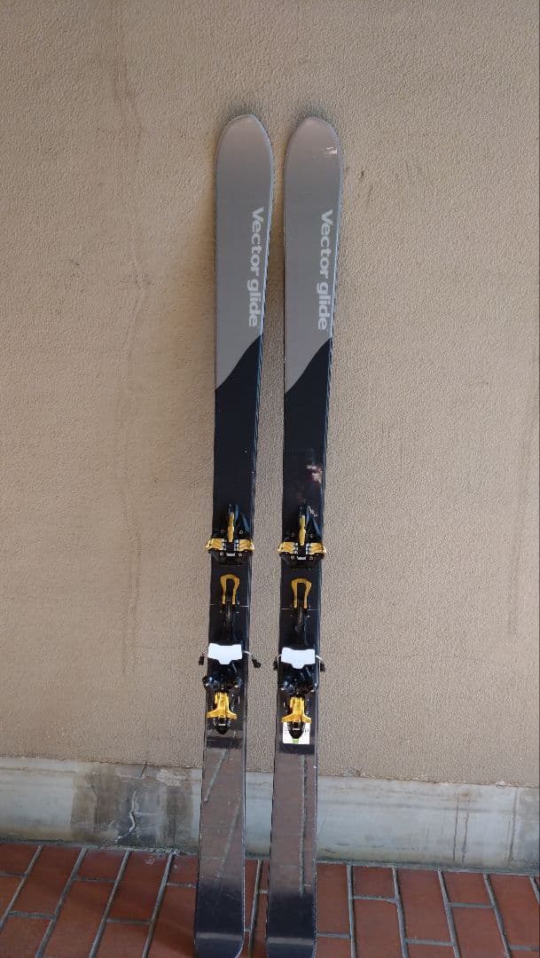 ベクターグライド　コルドヴァ　スタンダード　175cm